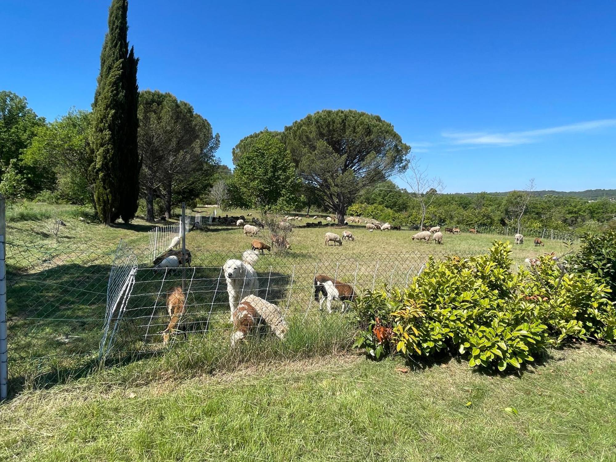 Villa Raphael Régusse Esterno foto